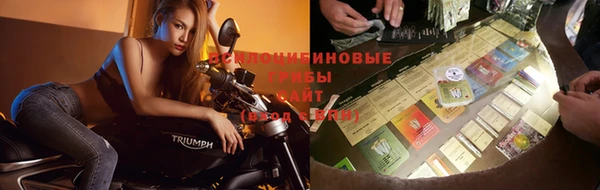 2c-b Новозыбков