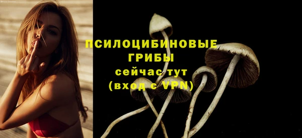 2c-b Новозыбков