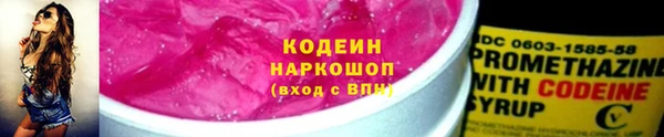 2c-b Новозыбков