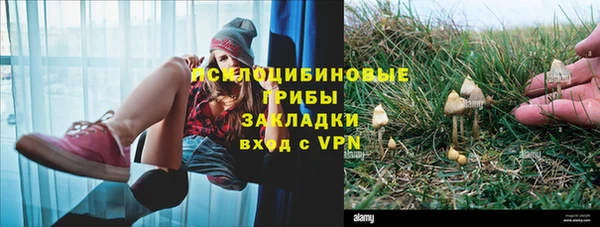 2c-b Новозыбков