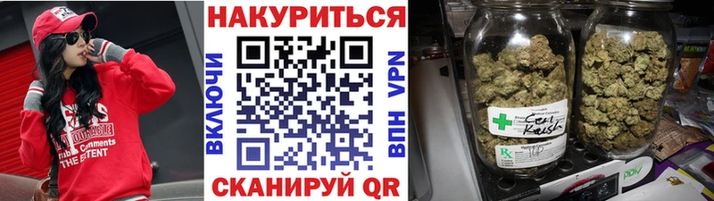 Купить  Данилов  Бошки марихуана Amnesia 